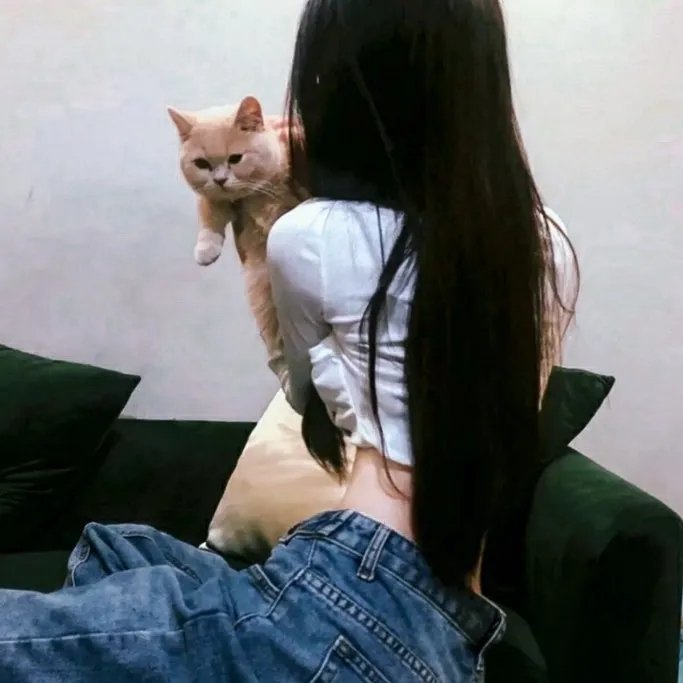 正义小包公