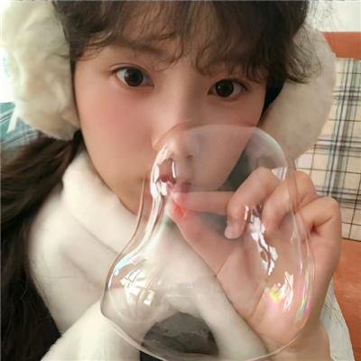 兔子镇的火狐狸