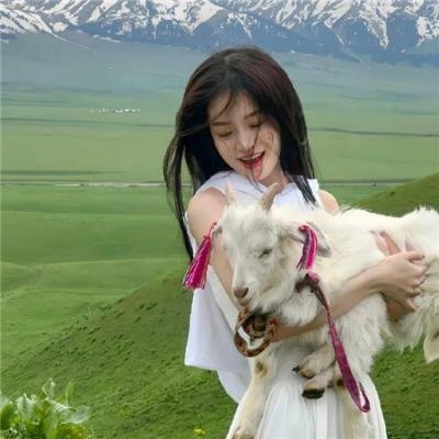 王牌对王牌第五季