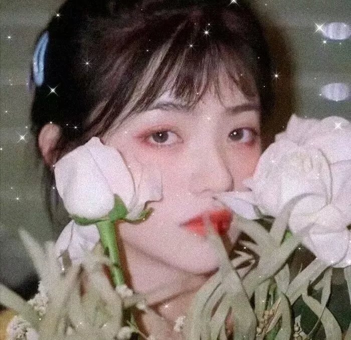 黑色灰姑娘