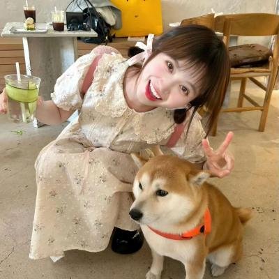 夏末初见